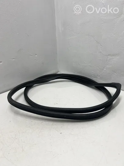 Hyundai i20 (GB IB) Rear door rubber seal (on body) 