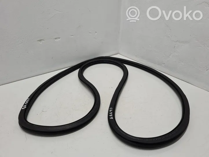 Volkswagen Golf Sportsvan Rear door rubber seal (on body) 510867913B