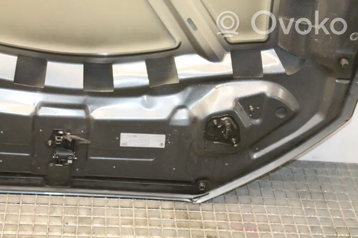 Audi Q3 8U Engine bonnet/hood 