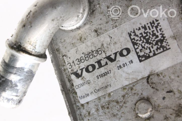 Volvo V60 Moottoriöljyn jäähdytinlaite 31368636