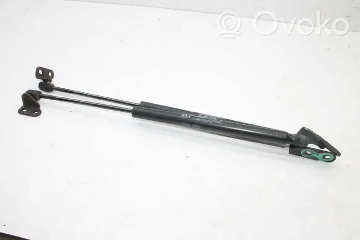 KIA Sorento Tailgate/trunk/boot tension spring 817802P000