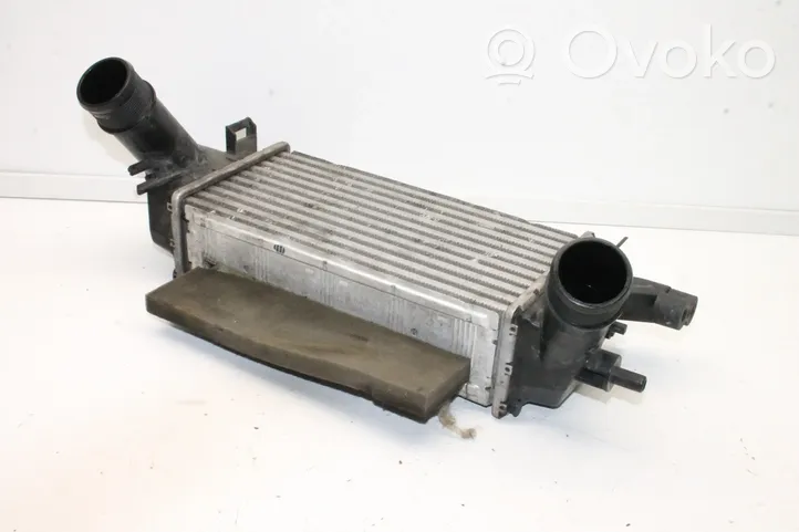 Ford Ecosport Chłodnica powietrza doładowującego / Intercooler 