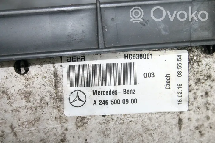 Infiniti Q30 Set del radiatore A2049061403