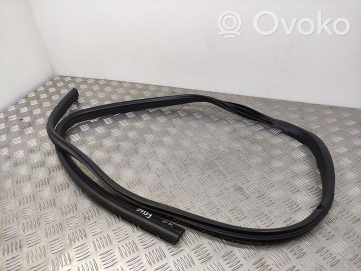 Ford Focus Rubber seal rear door 