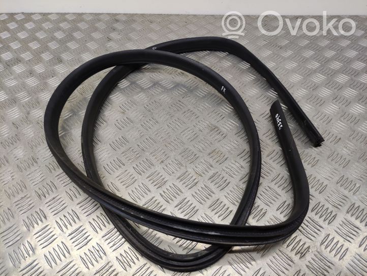 Ford Focus Front door rubber seal 