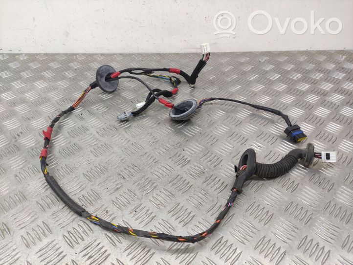 Hyundai Santa Fe Rear door wiring loom 916502B010