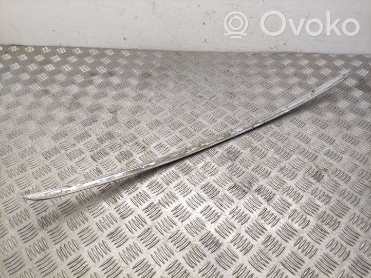 Volkswagen PASSAT B7 Tailgate trim 3AE853955A