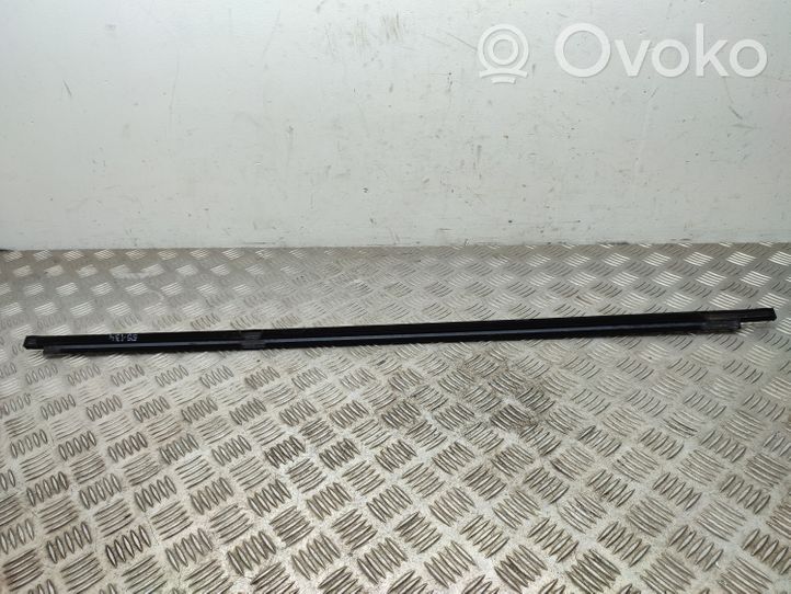 Volkswagen Golf Sportsvan Rear door glass trim molding 