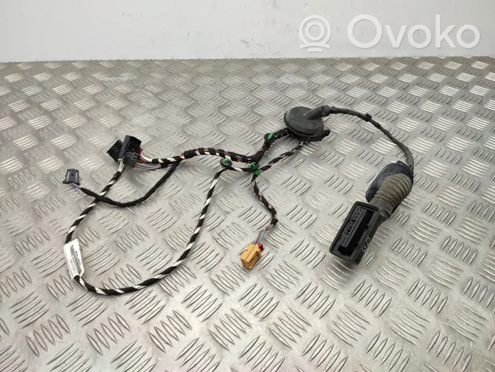 Volkswagen PASSAT B8 Rear door wiring loom 3G0971694A