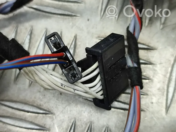 Volkswagen PASSAT B8 Front door wiring loom 3G1971120H