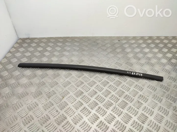 Ford Ecosport Rear door glass trim molding 