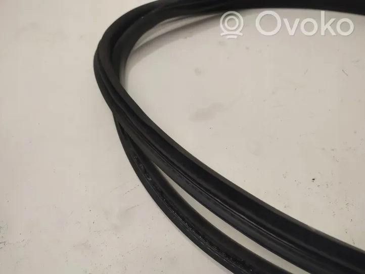 Renault Megane III Front door rubber seal 