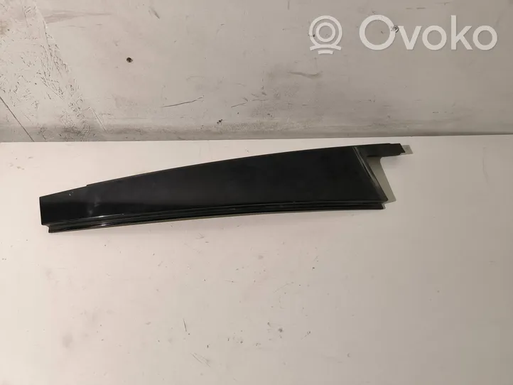 BMW X5 E70 Rear door trim (molding) 