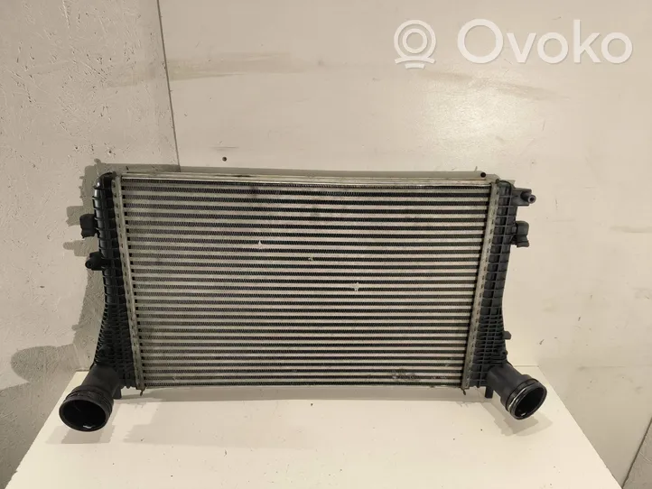 Volkswagen Golf V Radiatore intercooler 1K0145803T