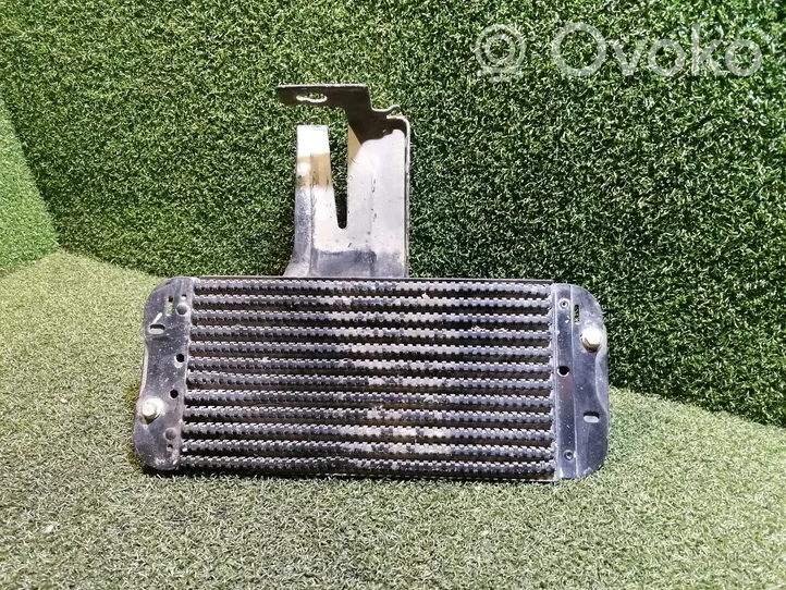 Renault Master III Degvielas dzesētājs (radiators) 243561500R