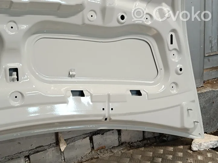 Renault Master III Engine bonnet/hood 