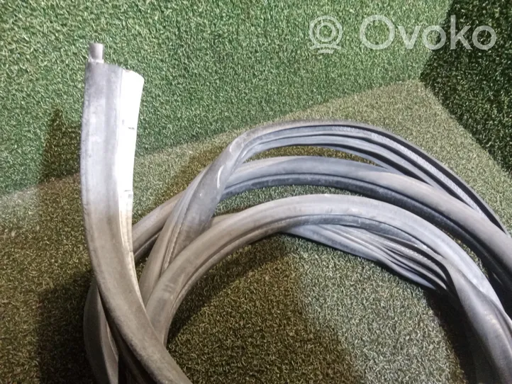 Opel Vivaro Sliding door rubber seal 