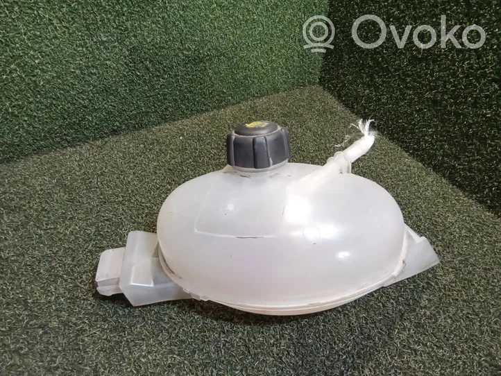 Renault Master III Coolant expansion tank/reservoir 217100015R