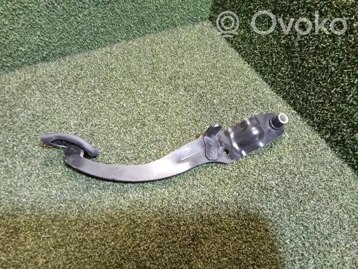 Renault Kangoo II Brake pedal 30008719