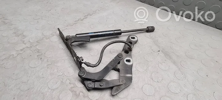 BMW X3 E83 Cerniere del vano motore/cofano 3411447