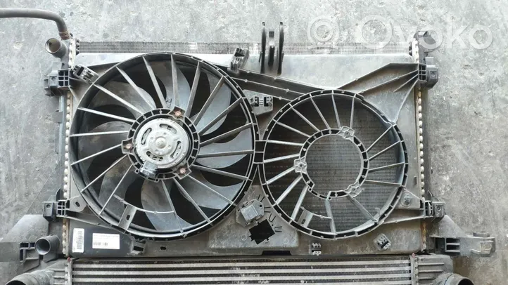 Renault Master III Электрический вентилятор радиаторов 5020592