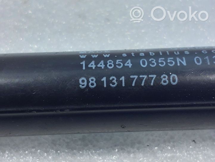 Citroen C3 Vérin de capot arrière 9813177780