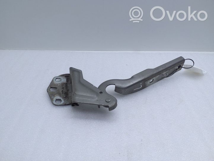 Volkswagen PASSAT CC Cerniere del vano motore/cofano 3C8823301A