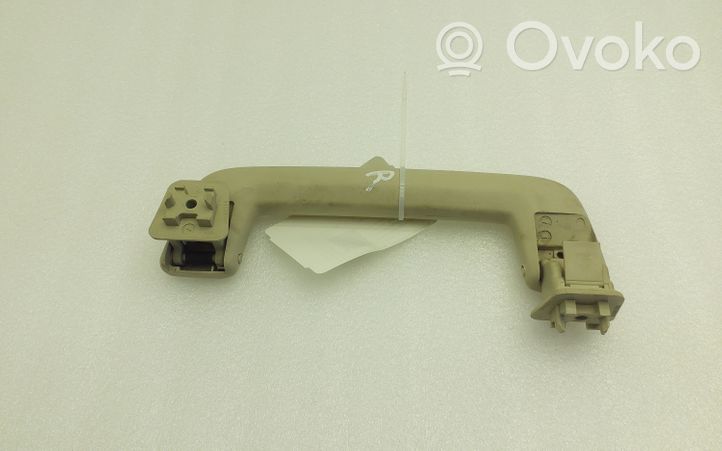 Land Rover Range Rover Sport L320 Front interior roof grab handle 168000260