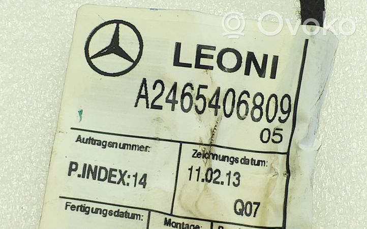 Mercedes-Benz A W176 Faisceau de câblage de porte arrière A2465406809