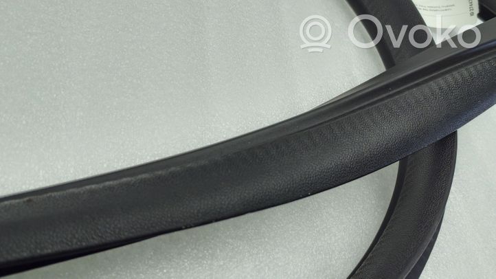 Toyota Aygo AB40 Front door rubber seal 