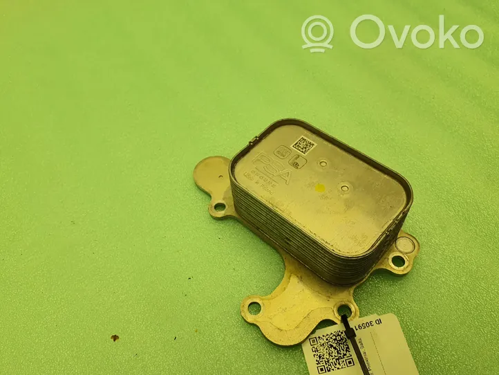 Citroen C4 III e-C4 Oil filter mounting bracket 311220