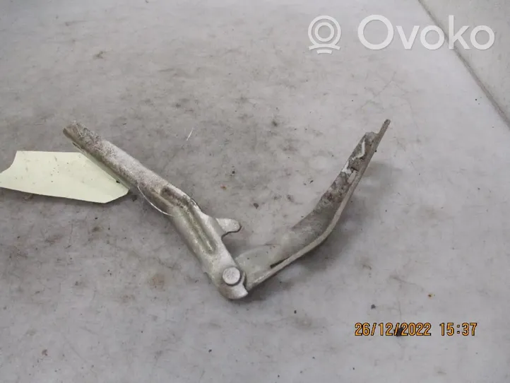 Peugeot 206+ Cerniere del vano motore/cofano 791332