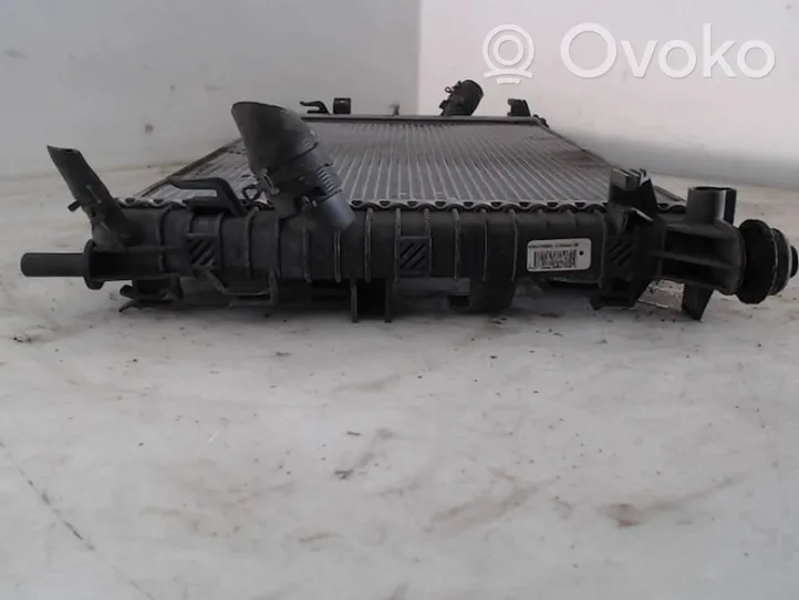 Mazda 3 Radiatore di raffreddamento Y60115200E