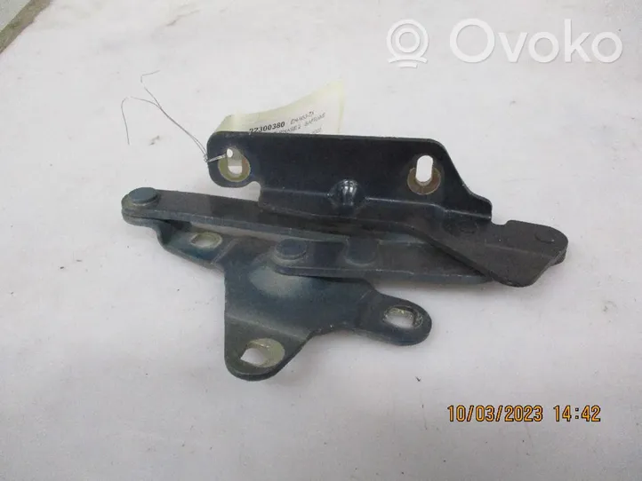 Renault Safrane Vyris (-iai) variklio dangčio 7700815290