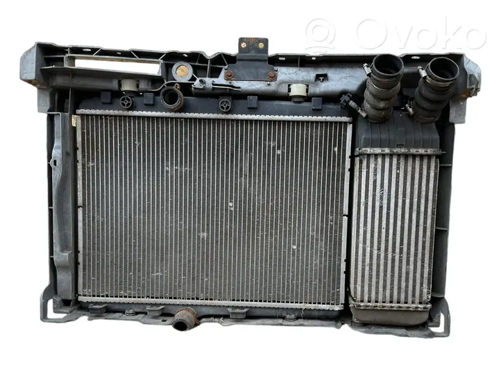 Citroen C3 Picasso Schlossträger Frontträger Frontmaske 9680275480