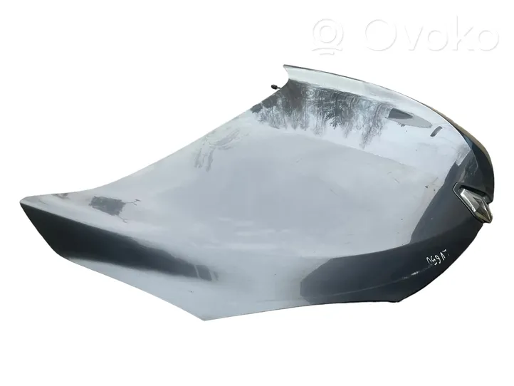 Renault Megane III Engine bonnet/hood 651220005R