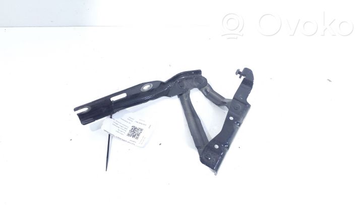 Volkswagen Eos Cerniere del vano motore/cofano 1Q0823302C