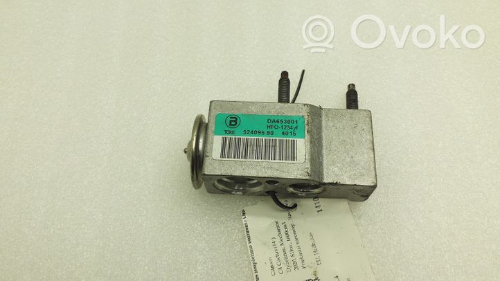 Citroen C4 Cactus Air conditioning (A/C) expansion valve DA653001