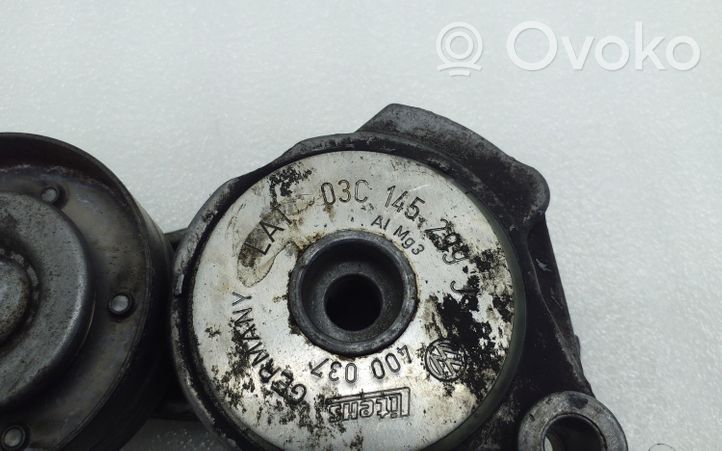 Volkswagen PASSAT B7 Tensor de correa del alternador 03C145299J