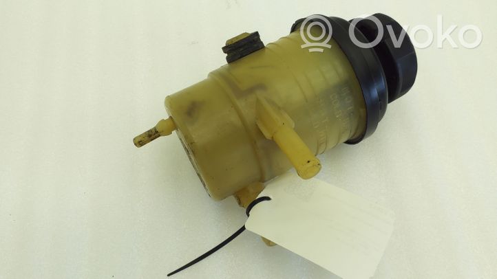 Hyundai Santa Fe Power steering fluid tank/reservoir 