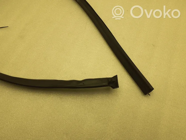 Volkswagen Sharan Rubber seal sliding door (on door) 7N0839718