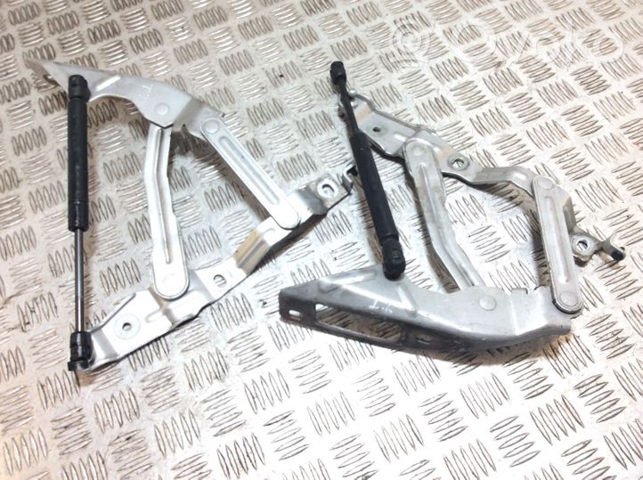 Audi TT Mk1 Engine bonnet/hood hinges 8N0823301