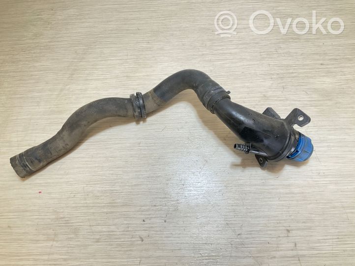 Mercedes-Benz Vito Viano W447 Tubo di riempimento del liquido AdBlue 422005500