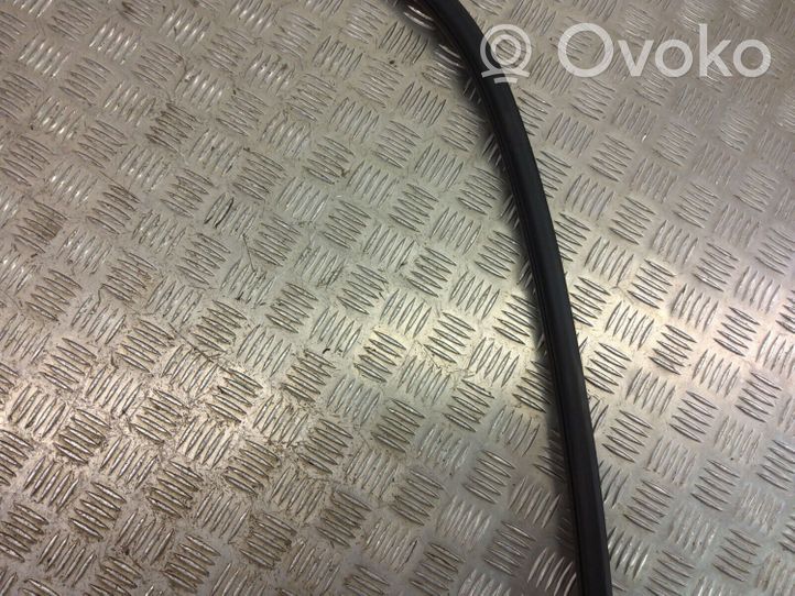 BMW X3 F25 Front door rubber seal 