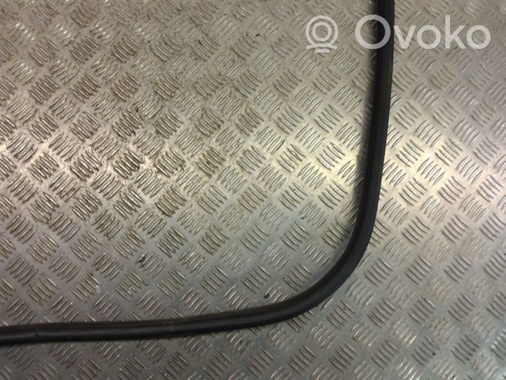 BMW X3 F25 Front door rubber seal 