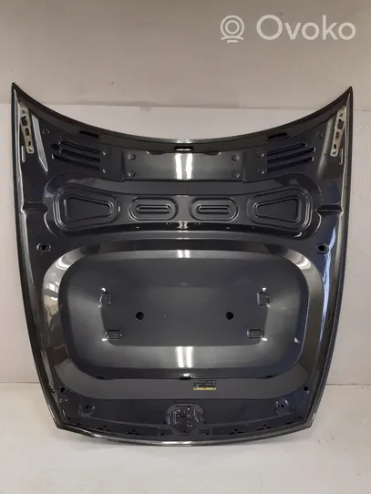 Audi E-tron GT Pokrywa przednia / Maska silnika 4J3010515A