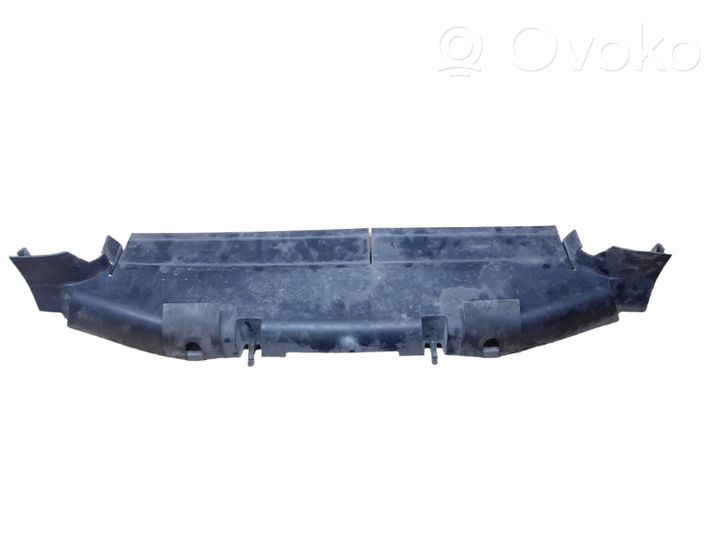 Renault Vel Satis Wlot / Kanał powietrza intercoolera 8200156713