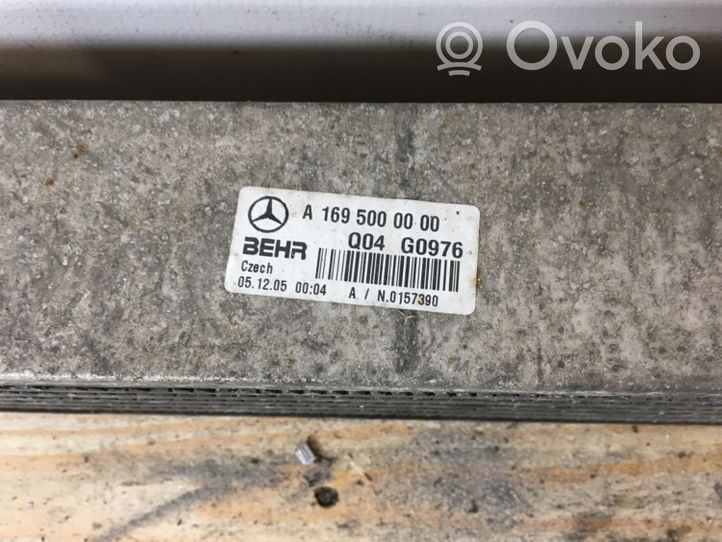 Mercedes-Benz B W245 Interkūlerio radiatorius A1695000000