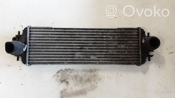 Nissan Primastar Canale guida dell’aria dell’intercooler 