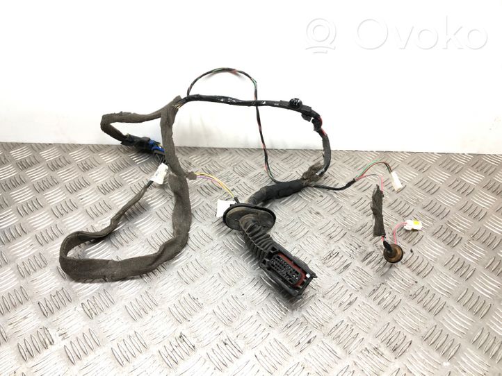 Renault Scenic II -  Grand scenic II Rear door wiring loom 8200466049